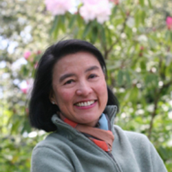 Author Gail Tsukiyama